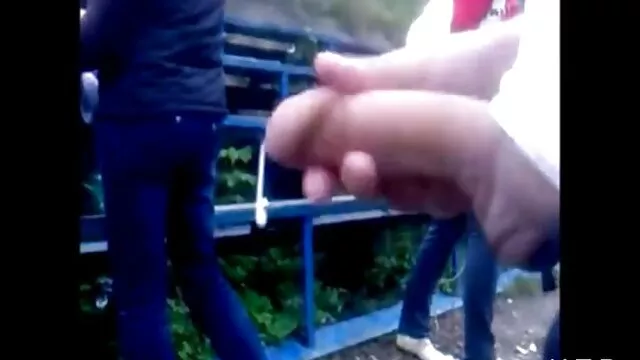 Siberia, chó lớn, Holly trái tim quay xung quanh sex nhat ban lau xanh