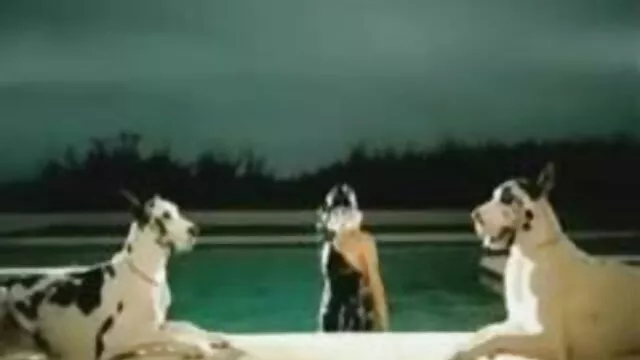Trầy Xước-Không phim xet lon to nhat Phải Ở Trung