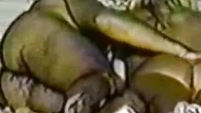 Xin vui sex nhat chay nuoc lòng Tóc đỏ, 720p